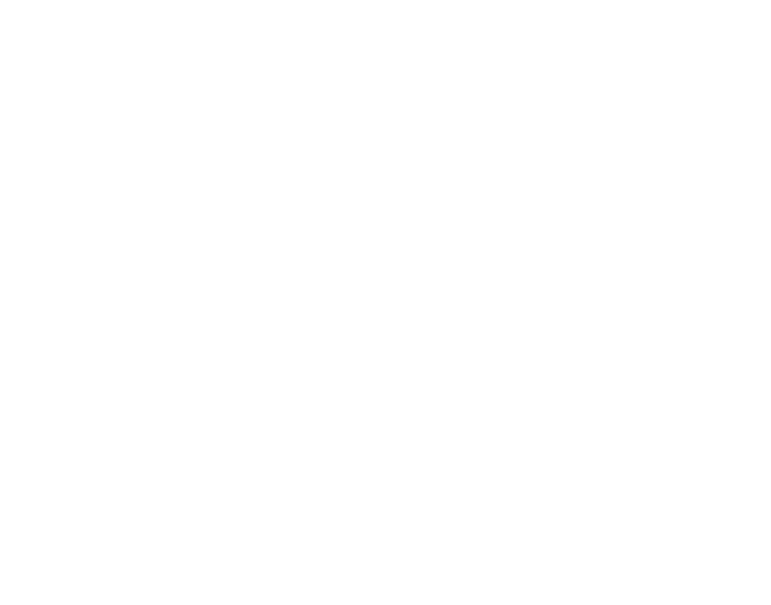 Logo von netzeffekt
